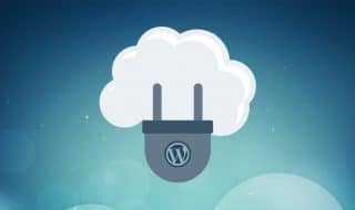 Wordpress Plugin Illustration